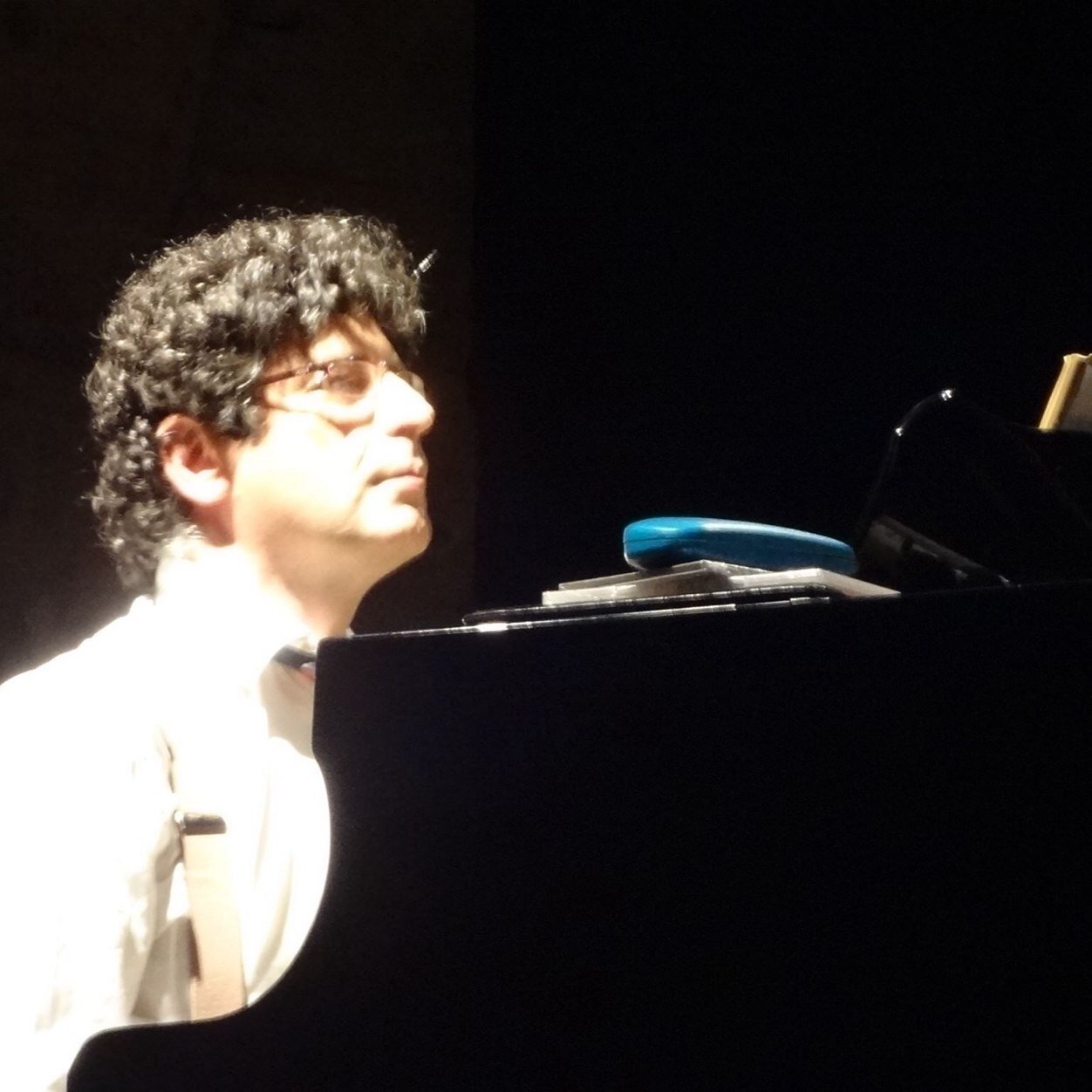 Compositor, arranjador, diretor/produtor musical, pianista, regente. Dramaturgia Musical.