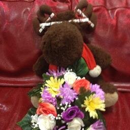 I'm a friendly moose who lives in the ADC theatre with occasional holidays to Europe, America and Cornwall. I once was lost but now am found.