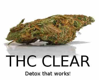 Helping PotHeads Pass Drug Test