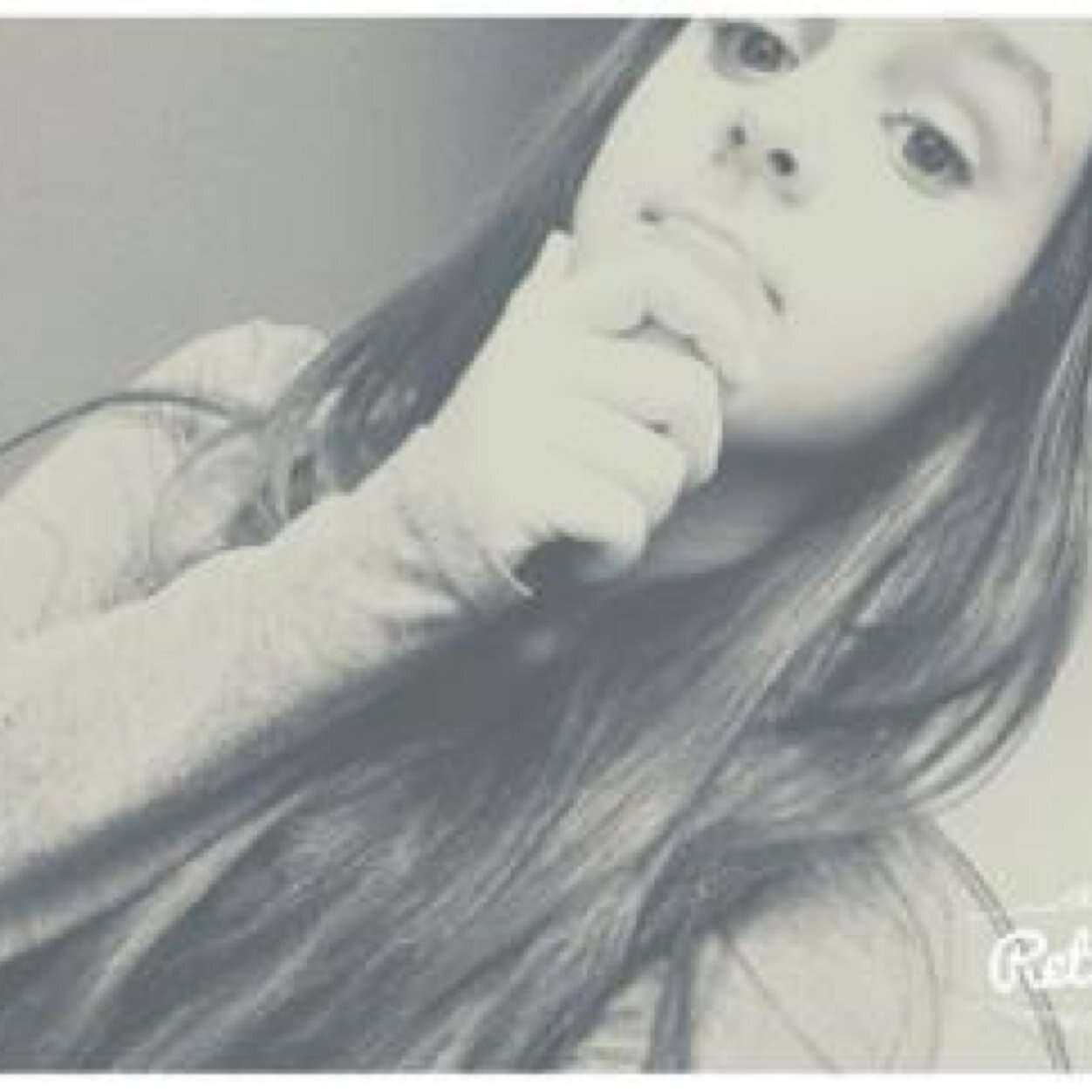 New twitter