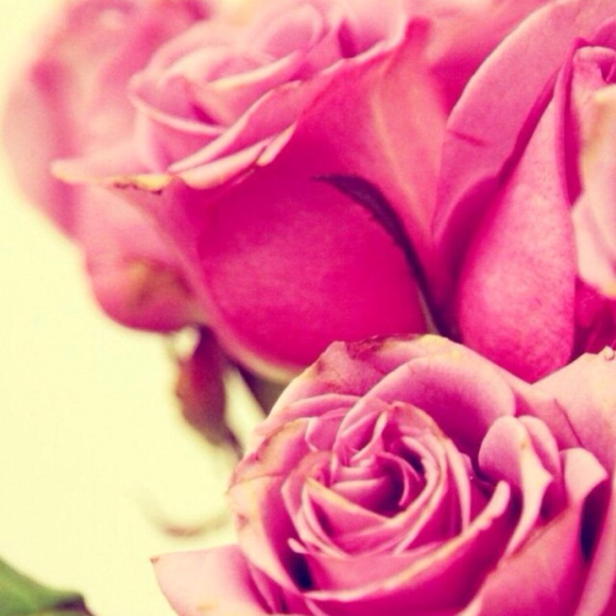 agirlsthought16's profile picture. Just do you