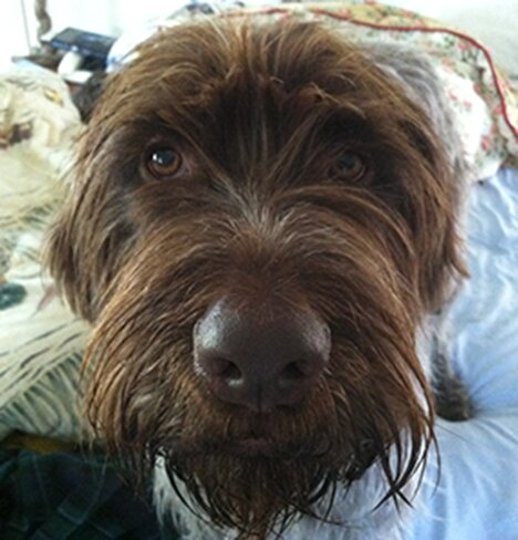 dgdubya's profile picture. 