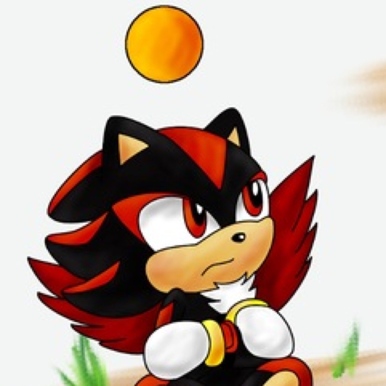 I am the perfect chao you were ever see i'm shadow chao i am better than that sonic chao any day #owner @DarkshadowHero in love with @Celeste_Chao mine
