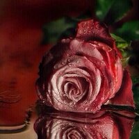 ارجع يا زمن (@timeback555) 's Twitter Profile