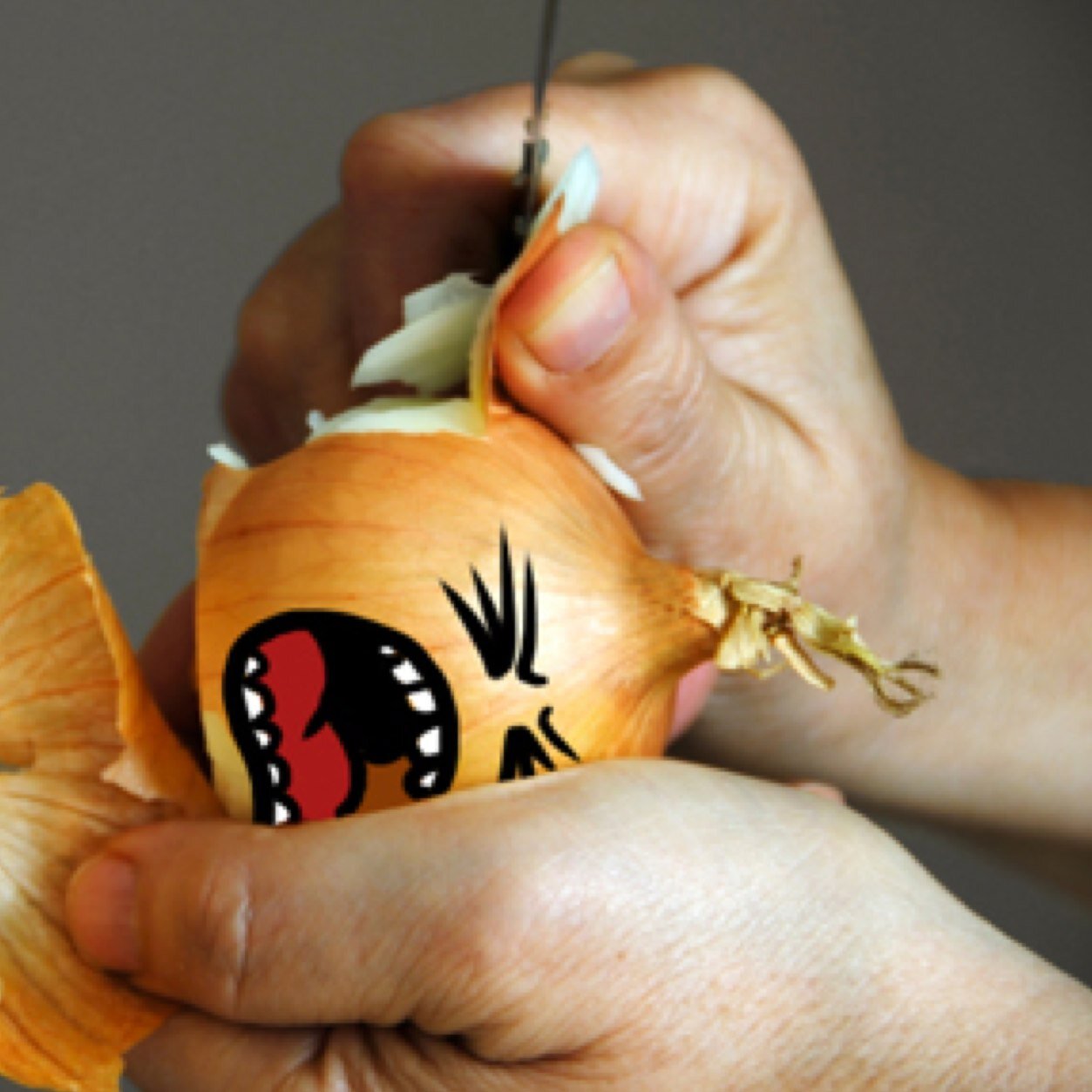 Starting Account that makes you laugh till your eyes water. #laughingonion