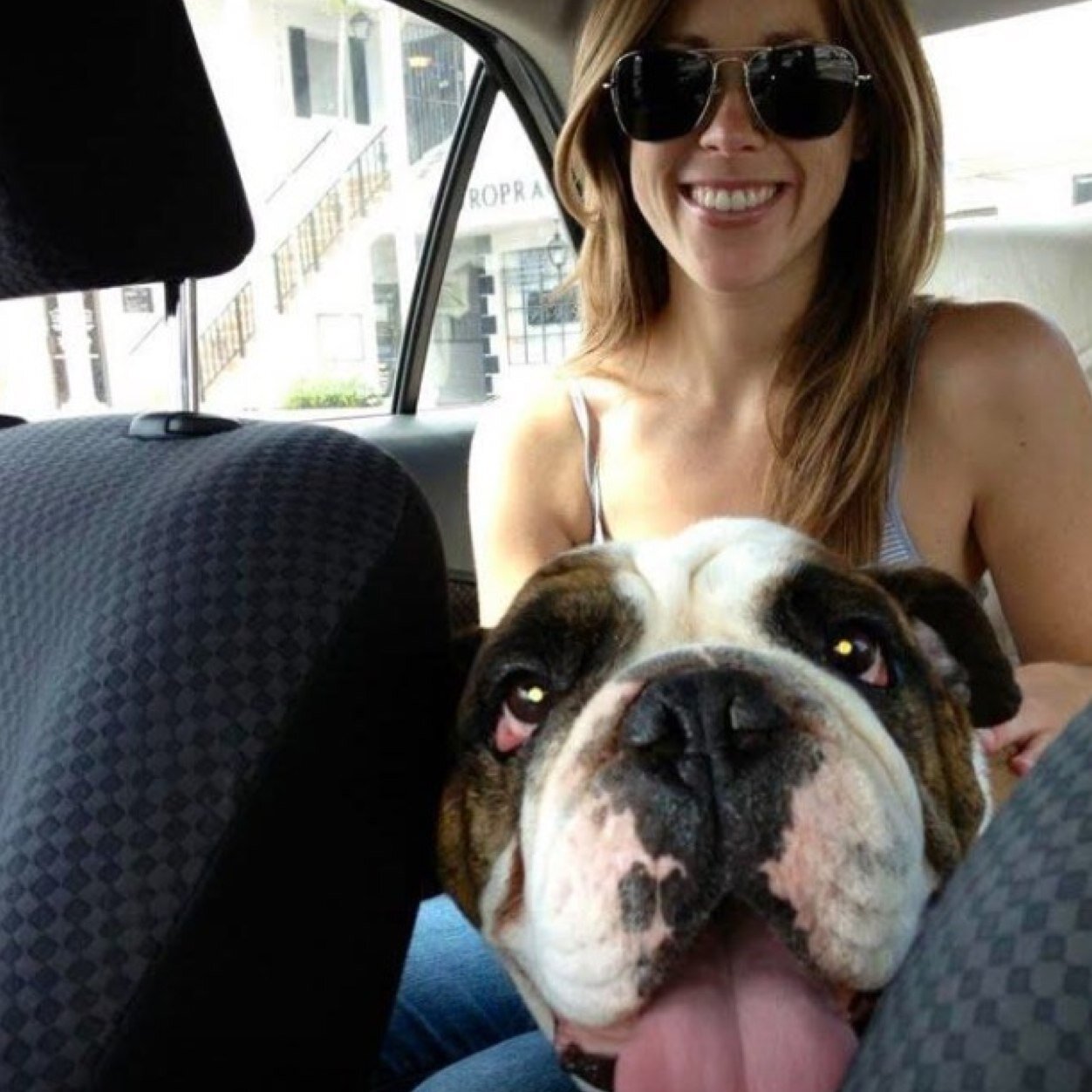 Faith, Family & Furry Friends.