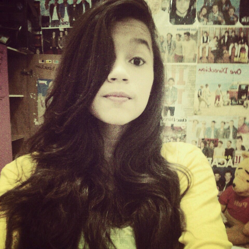 Directioner/Pniner/Brazil/1D are follow me†