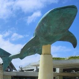 Osspc's profile picture. 大体Togetterメイン垢　　こちらには必要なコメント以外はツイート残さないかも　　沖縄話題に飛びつき気味