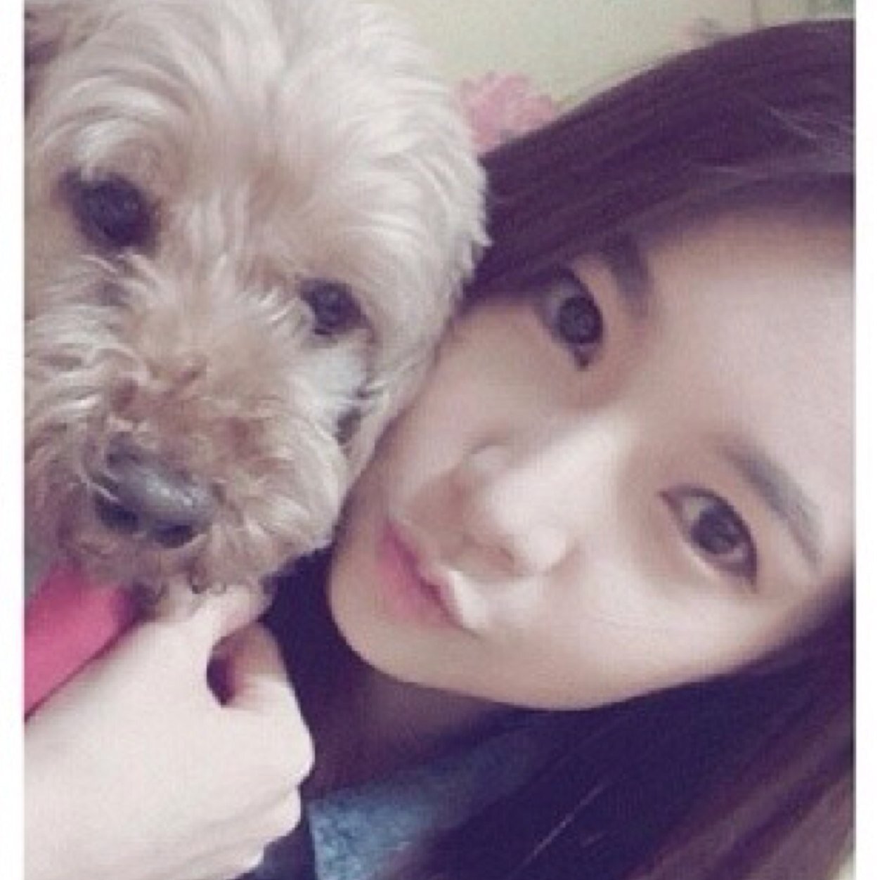 Verified @rainbowsrp ★ #blue ☆ Fiestar's baby faced leader ★