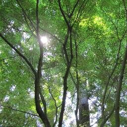 lwhorticulture's profile picture. Environmental Horticulture Education