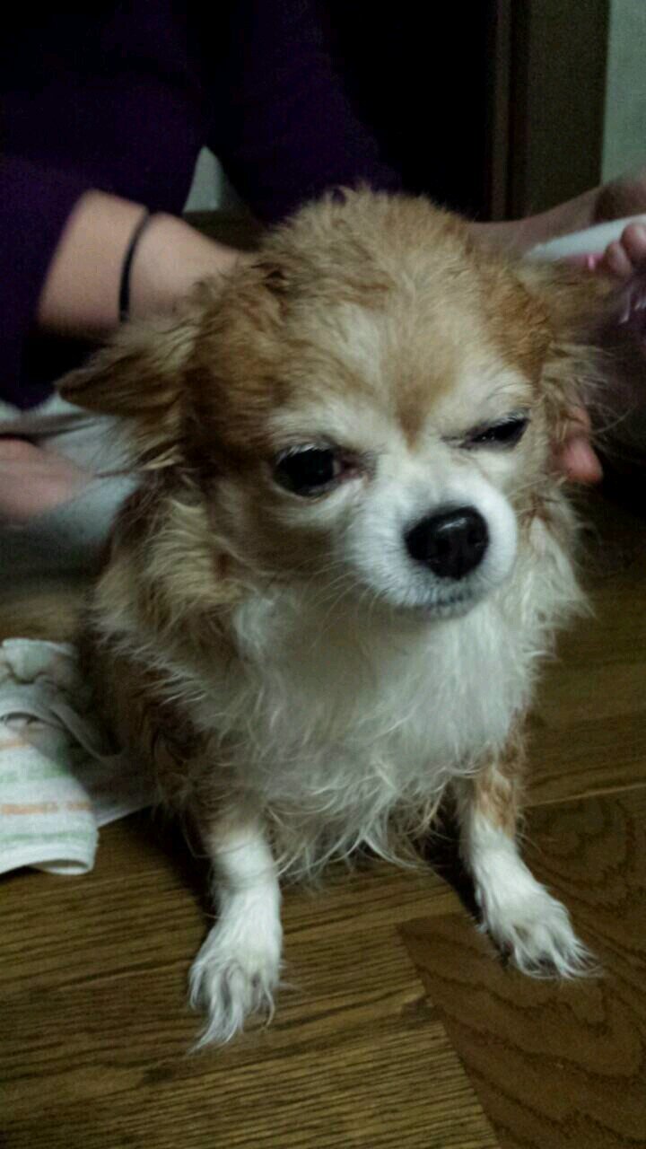 ♡劣化ゆり:-)さんのプロフィール画像