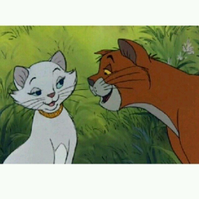 massimilianoim's profile picture. 