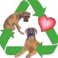 Recycled Doggies (@recycleddoggies) 's Twitter Profile Photo