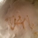 Daniel Schepers - @thedanschepers - Twitter