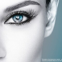 630553575's profile picture. 