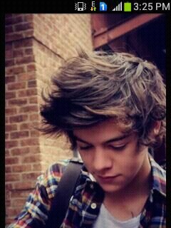Niall's fart blew away my bio!!Please Follow @valdezkhan13..she is a directioner!