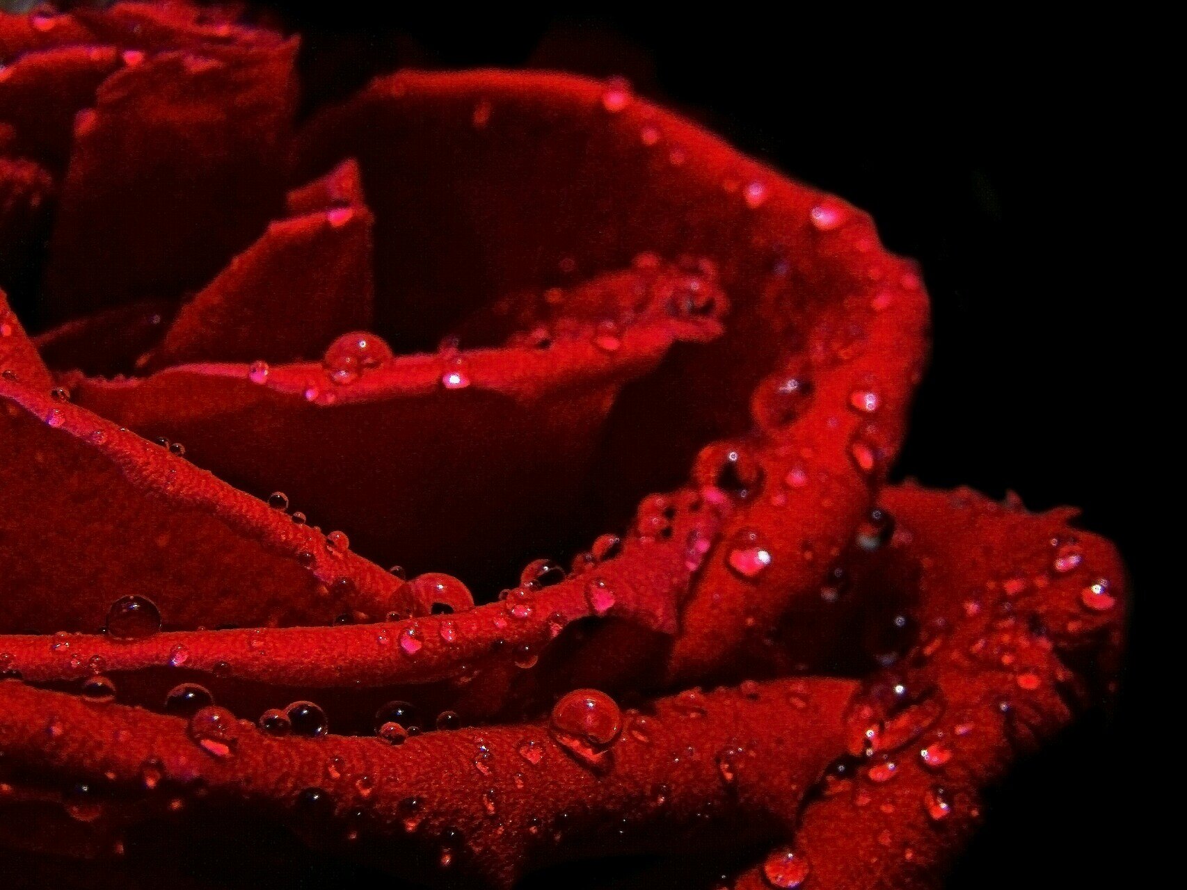 ♥   اللهم صلي على محمد وعلى آله وصحبه أجمعين   ♥   fatma