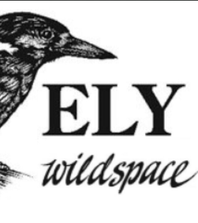 We are a local community group working to conserve the natural habitats that surround the historic town of Ely.