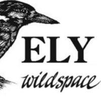 Ely Wildspace (@elywildspace) 's Twitter Profile