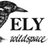 ElyWildspace's profile image