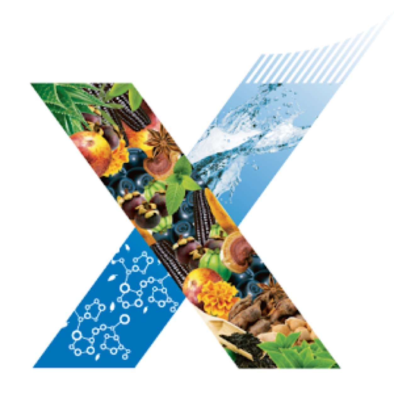 Productos 100% naturales creados gracias a la biotecnología y al legado de culturas milenarias. Dedicados a llevar la salud de latinoamérica al siguiente nivel