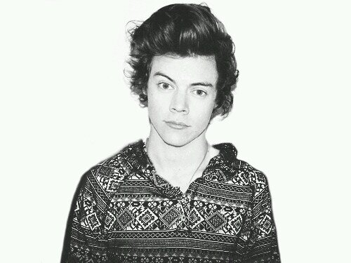 datniggaharry's profile picture. TMH 7.24.13 & 8.4.13 tumblr: heroinehaz                   Fact: Harry Styles is beautiful