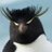 ootytofm's profile image
