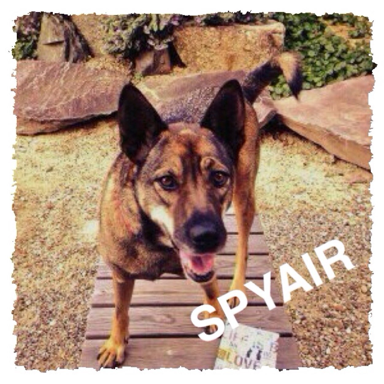Spytink Spyair Back Tink 718 Twitter Spytink Spyair Back Tink 718 Twitter
