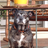 BruceGAtl's profile image