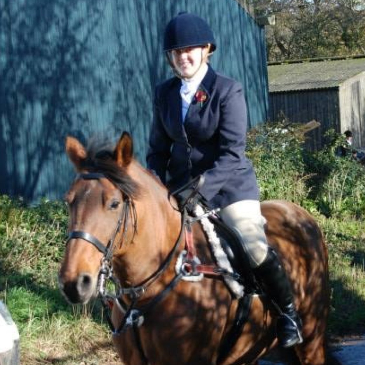 halls882's profile picture. Crazy horse, dog and cat lady. Tea drinker, cream tea lover, Devon dweller, welly wearer, sand hater.