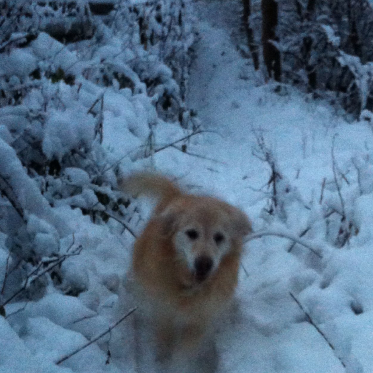 HolmfirthJoe's profile picture. 