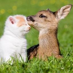 Trouble is your best friend. It makes you stronger and more understanding about life. ( Follow My Second Twitter @giocesartonapa )