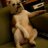 noul69's profile image