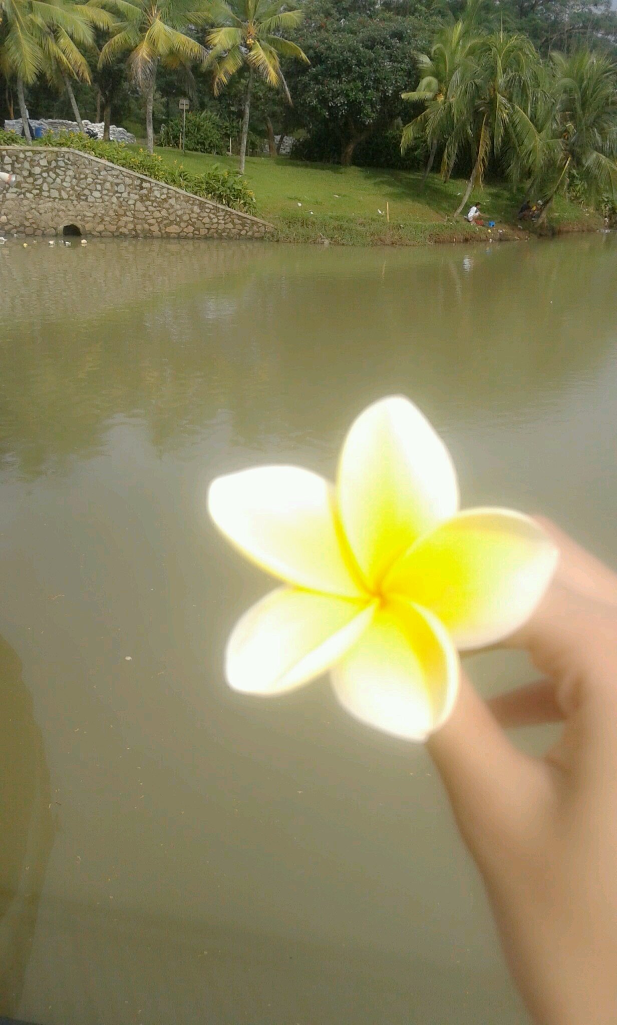 Twitter yg ini udah ga ke pake. Soalnya udah di hack.