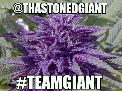 ThaStonedGIANT's profile picture. I am the most #GIANT of all the #GIANTS, I SUFFER FROM #GIGANTISM, and I love weed. nuff said, fuckers. #TeamGIANT #Gigantism AVI is not me