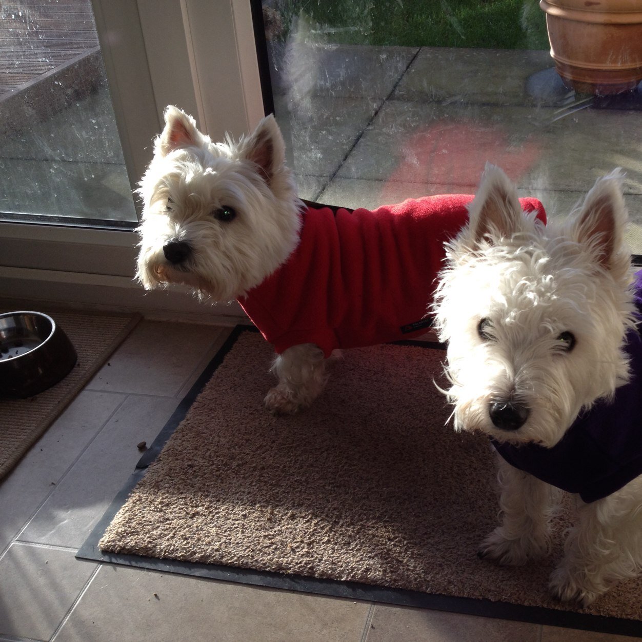 lynnmcd15's profile picture. 