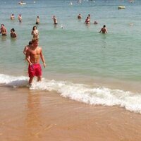 Alwin Domselaar (@alwindomselaar) 's Twitter Profile