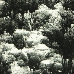 HugoGladstone's profile picture. Journalist | Editor