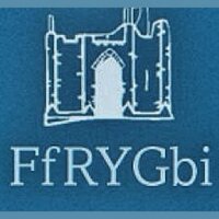 FfRYGbi (@ffrygbi) 's Twitter Profile Photo