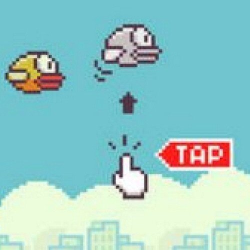 This is the official page of flappy birds please follow the owner of flappy birds @Stephenkc97 and especially follow us please and thank you