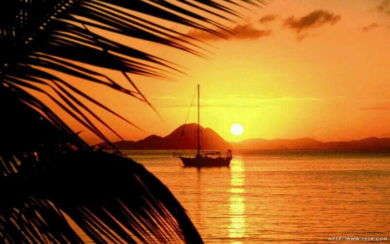 123456789148Www's profile picture. 