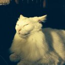 Mindy Liu - @surong236 - Twitter