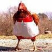 FlawedPlane (@flawedplane) 's Twitter Profile Photo FlawedPlane (@flawedplane) 's Twitter Profile Photo