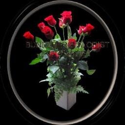 Fran Wallace  Floral designer beautifully presented Flower Arrangements  at competitive prices  ph 07 41561991