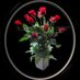 Bundaberg Florist (@bundabergfloris) Twitter profile photo