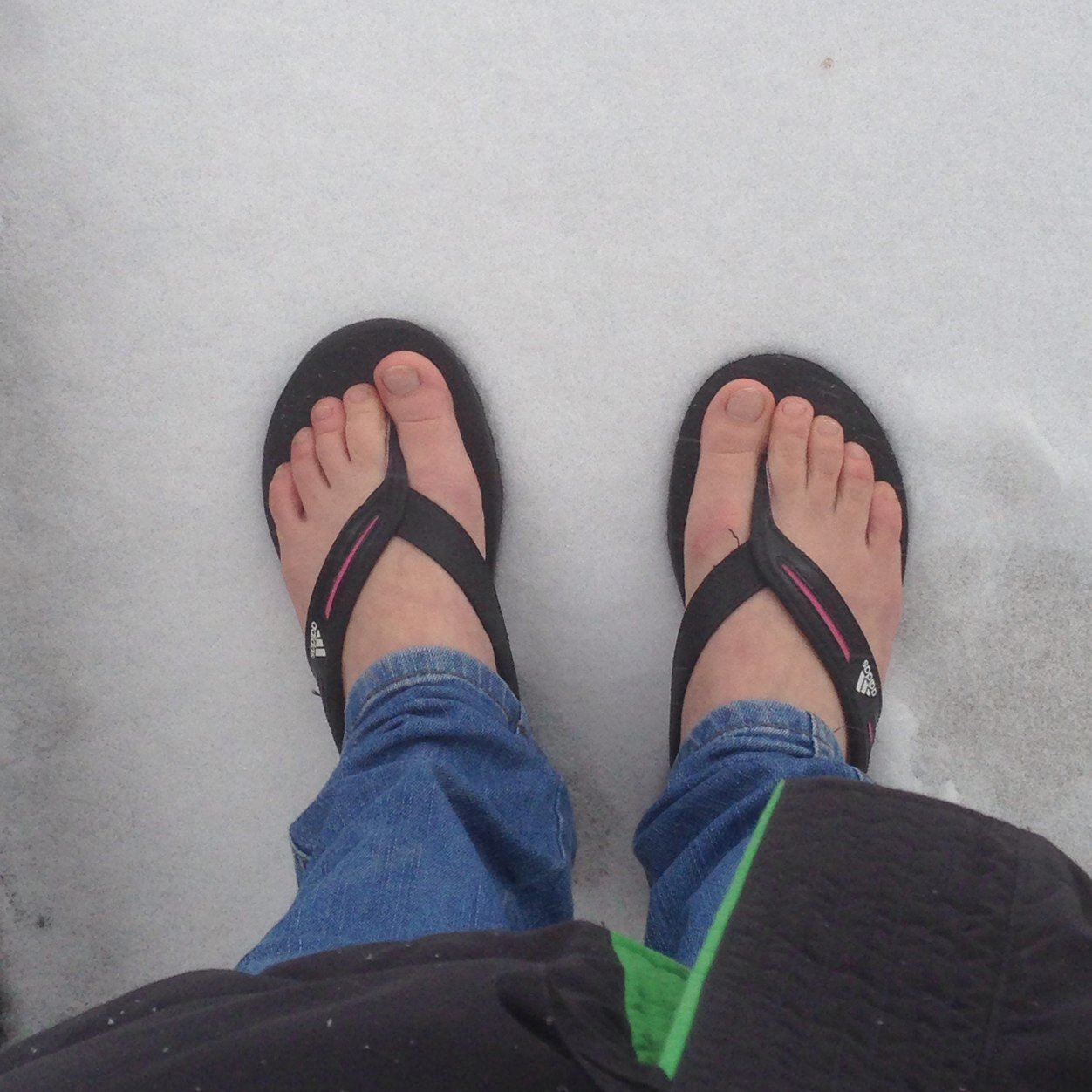 JannyDevil's profile picture. 