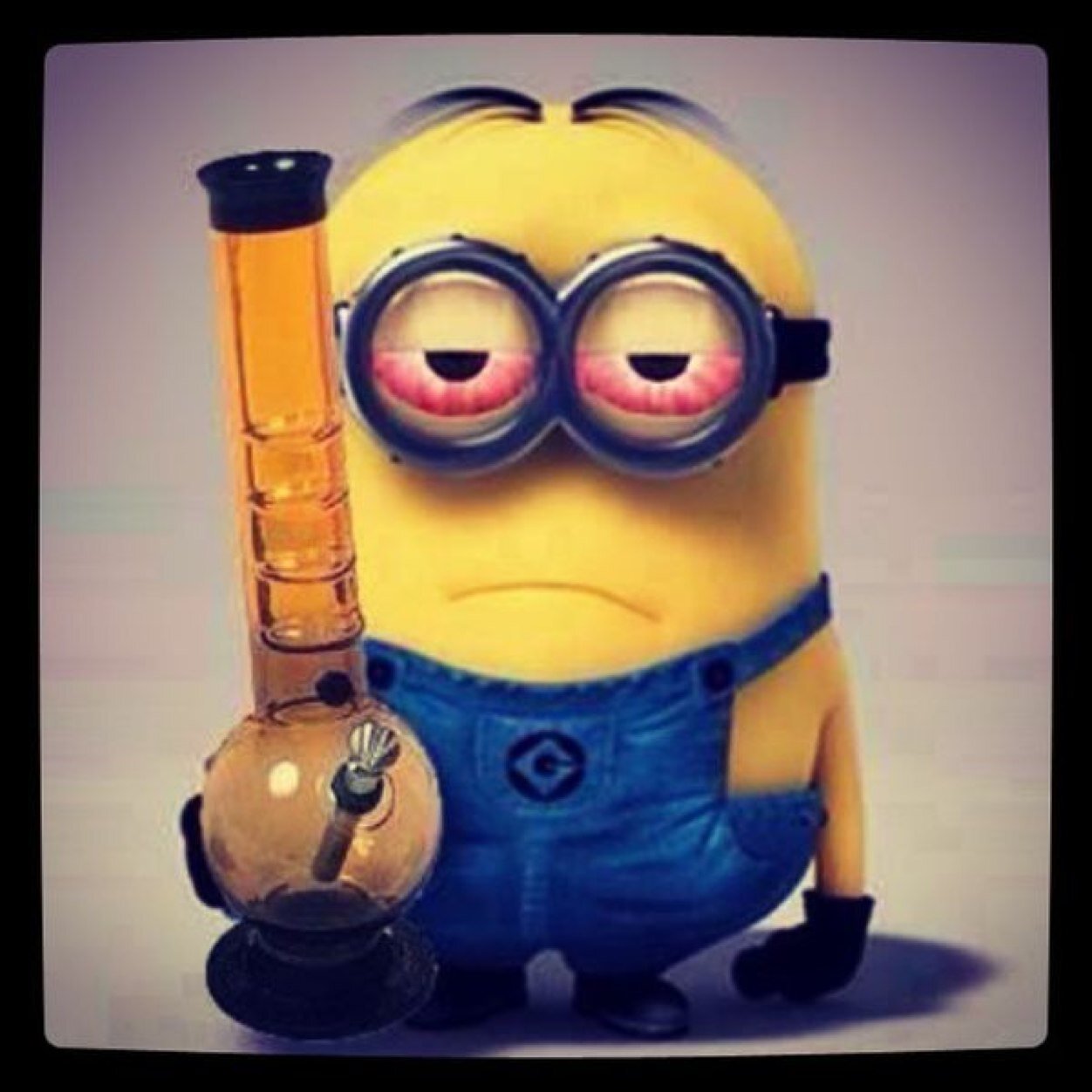 wazowskie900's profile picture. 