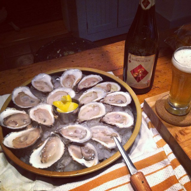 Raised by Portuguese werewolves. Sold my restaurant, moved to VT. Trying to figure out what's next. Chef, fly fisherman, snowboarder.