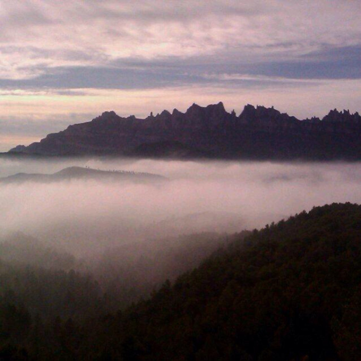 carrefrancesc's profile picture. 