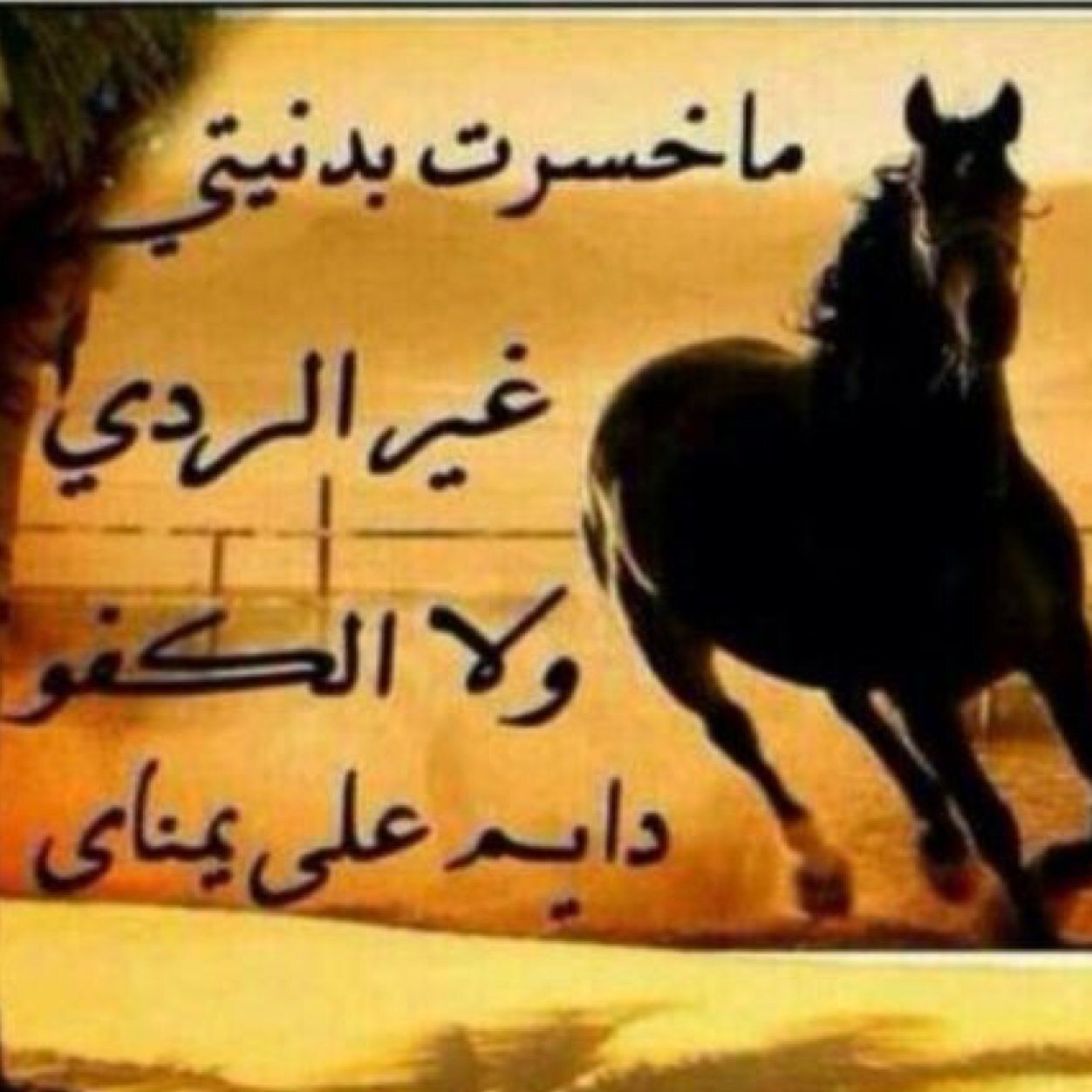 ابكي غلاه الروح وابكي الرحومه ابكيك يا اللي ما اشتكي منك الجار يالي علي الجيران دوم خدومه وجميع موقق صا بها احزان واكدار. ستبقين في قلبي ياامي❤